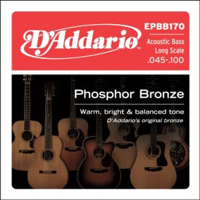 Hovedbilde DADDARIO EPBB170 Strengesett Akustisk -Bass