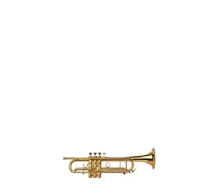 07 Bb-Trumpets